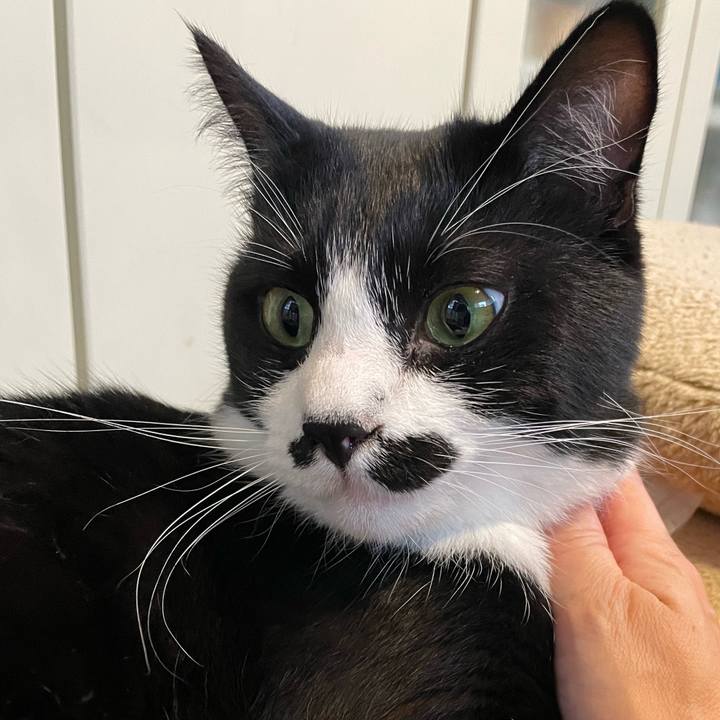 0661acae 5c4d 4e6c 920e 6688b78c2d7a 1655968478136