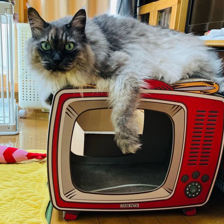 0661d550 c12f 4418 9349 92b3d65f14da 1739500099286