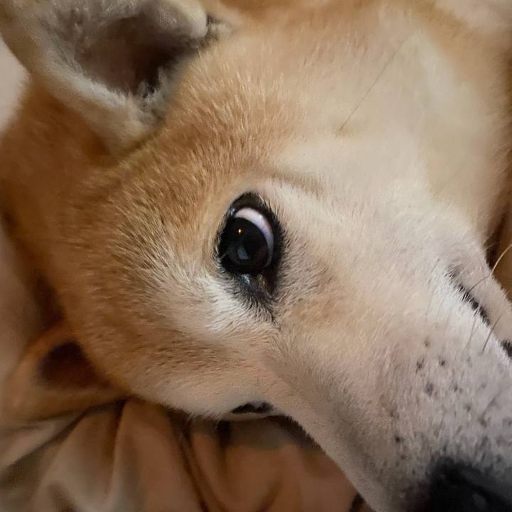 0661d55b 47ad 44d6 b311 1a010d76b7d6 1730597514999