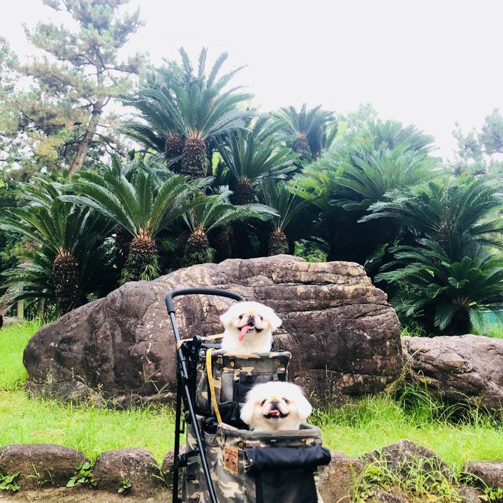 0661d758 ad23 4894 9b72 f59317e7721e 1596578018965