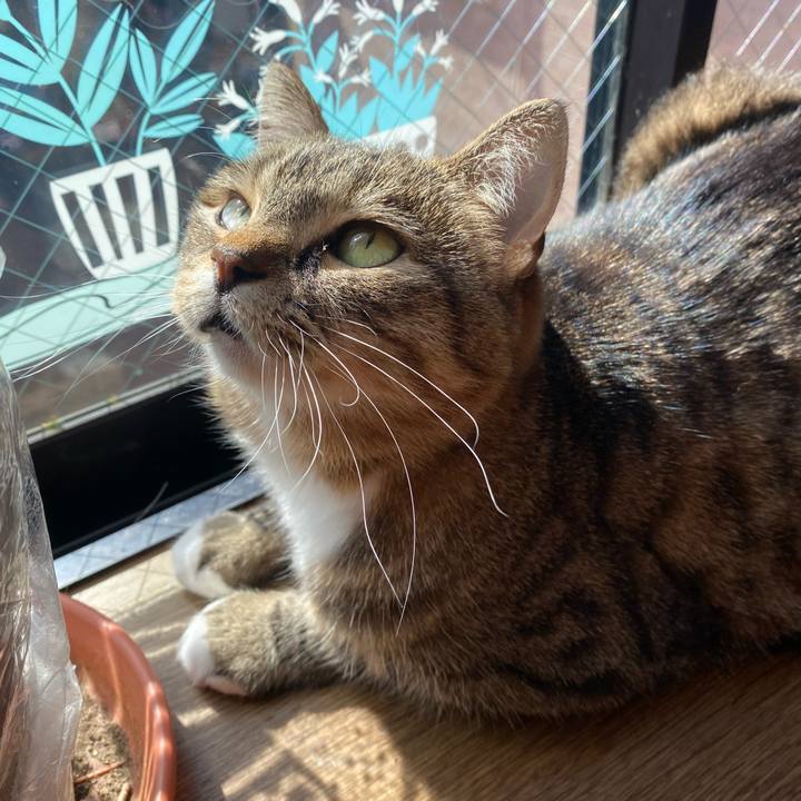 0661ec1e 985e 48b3 97d3 cb556e0e94ad 1644200712499