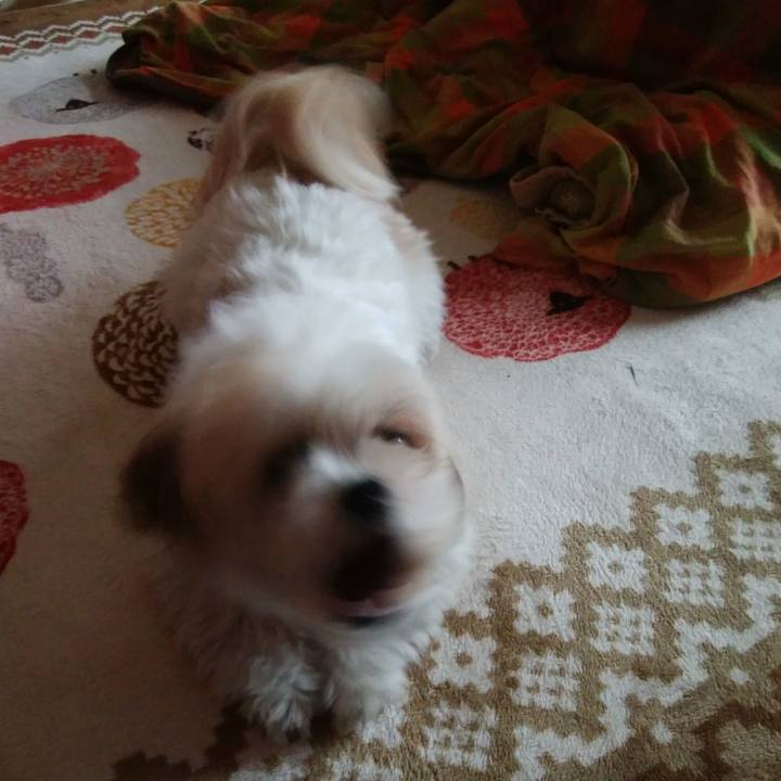 06622ab2 4b81 41ab a913 909af054c98f 1512354916085