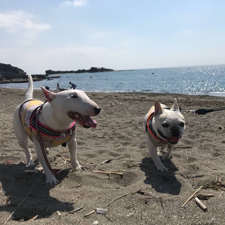 06623c61 99d9 48a2 b48e c658074d28dd 1523752313823