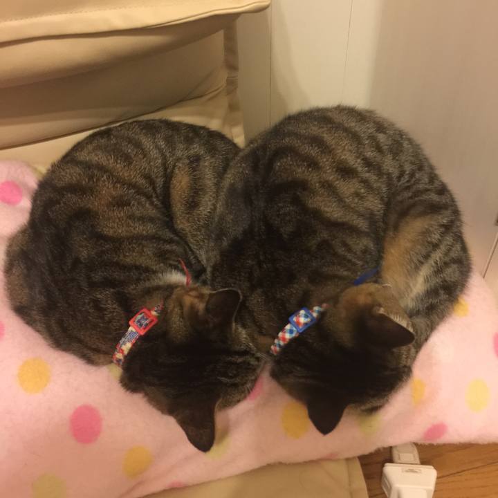 06623d53 ce2f 46cc b8a0 a8904cc2df4c 1547639232900