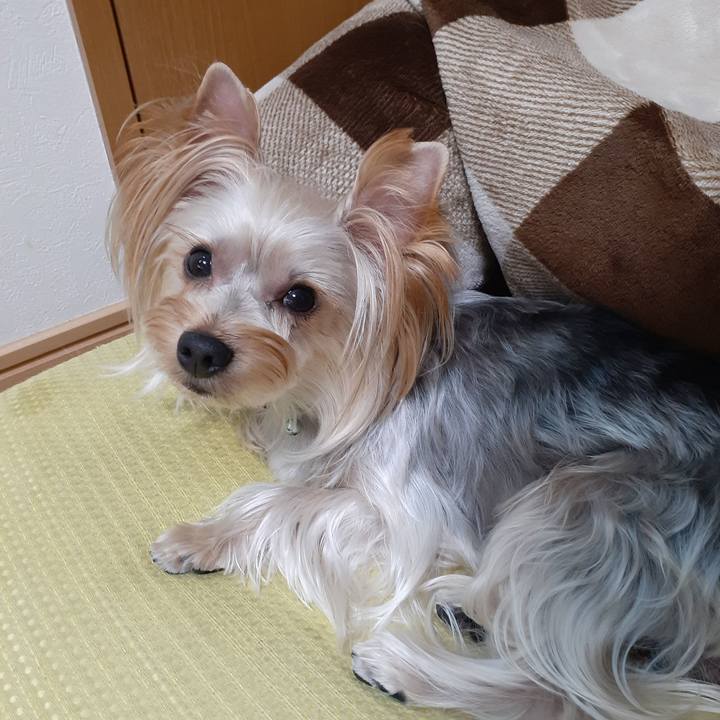 06625aa9 2cef 4ac9 98c2 85240ba84de5 1570516794750