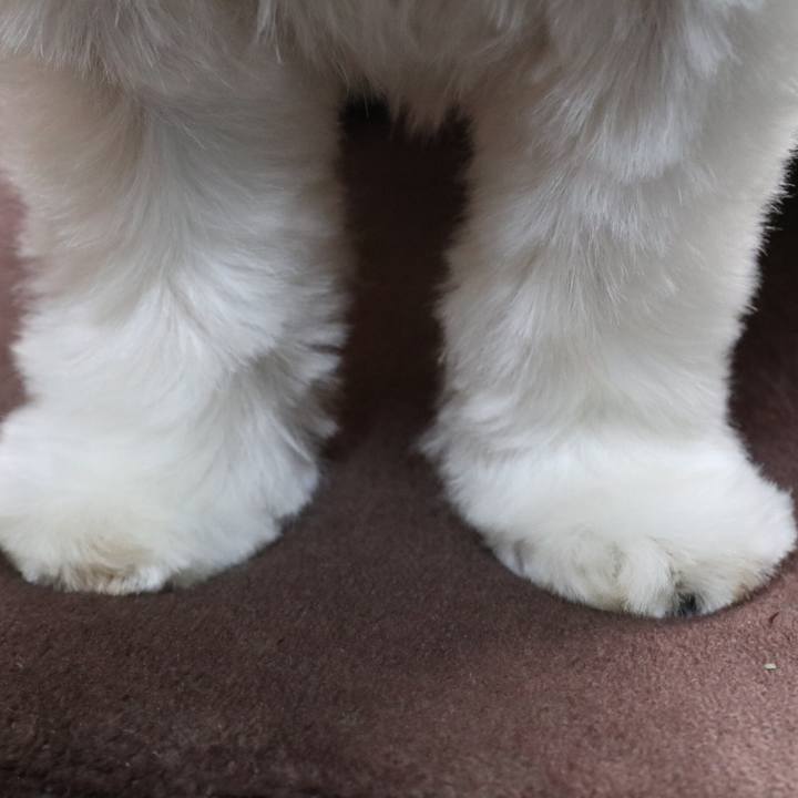 06628960 19bc 4f36 9e22 cb3bdc7735ad 1510747821820