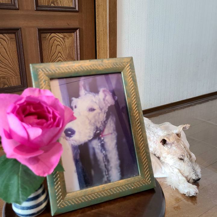 0662ad0e 44fd 4101 b8d1 65650753574a 1664604400238