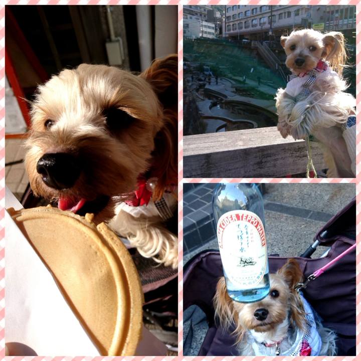 0662b46a cf1b 42a8 8c06 6b7cb07ce8a1 1547368116032