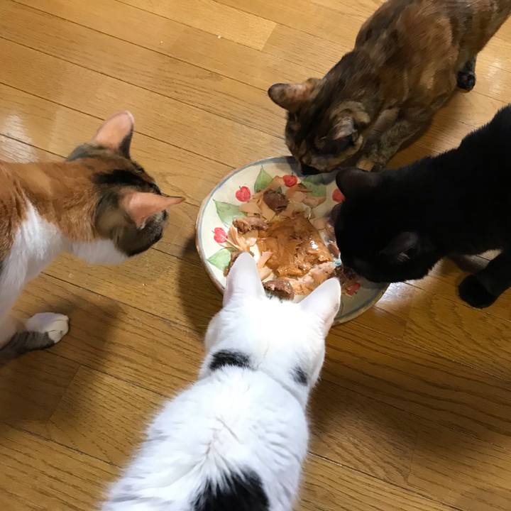 0662ec91 5eb5 4a76 a64a 2eea557a75f0 1656413508766