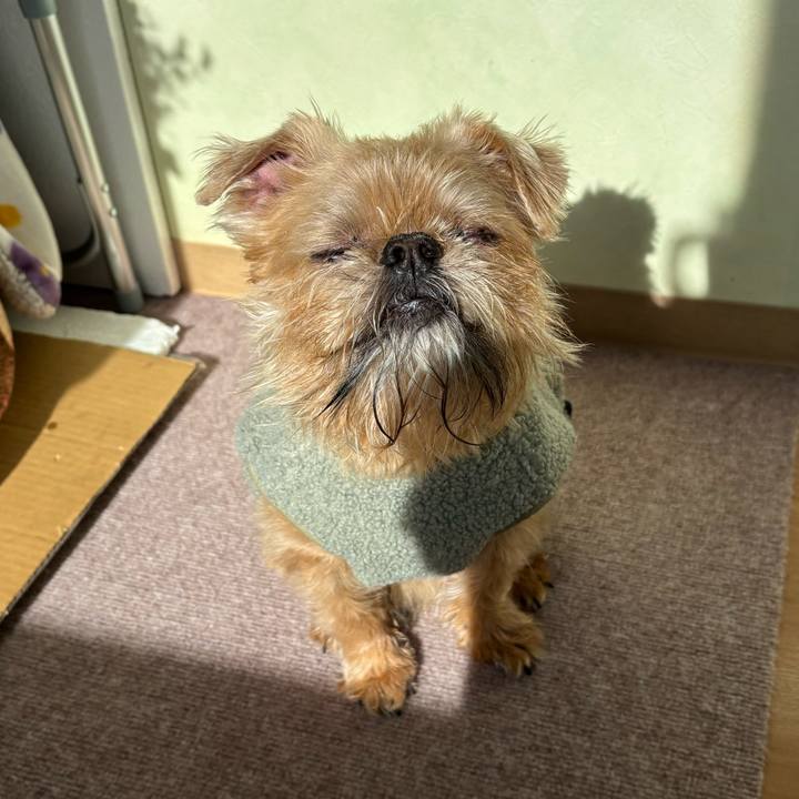 066329b4 2519 421b 9684 40eef38d1b0f 1737261791282