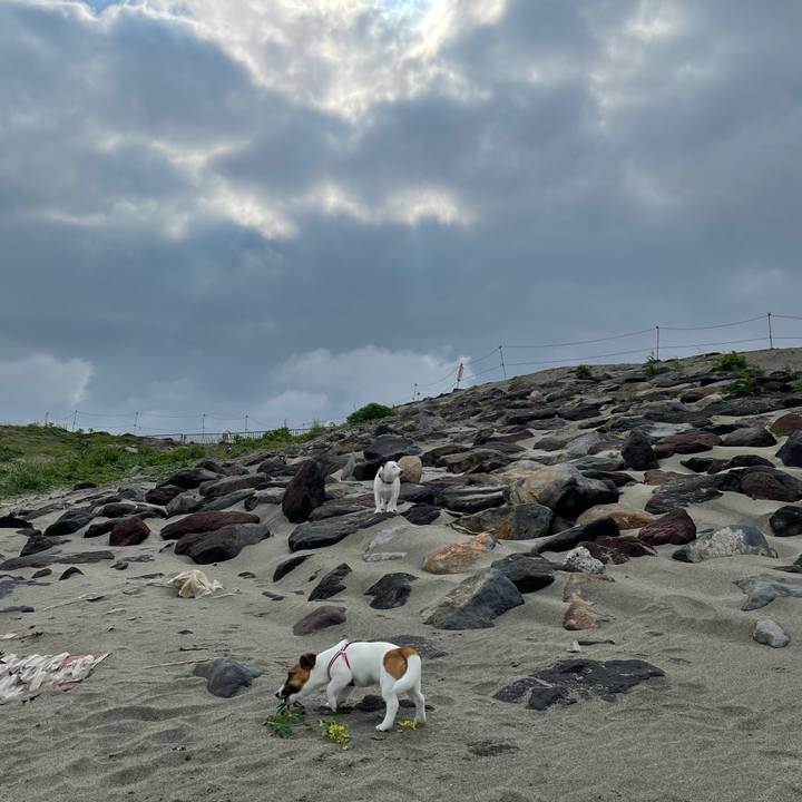 0663329e 98d1 4bc2 a8dd ba6858a42859 1621900506126