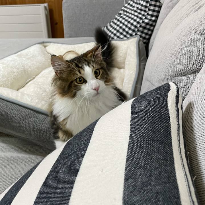 0663350b 3c88 4b3d a13e 3243b65b01f5 1636492625085