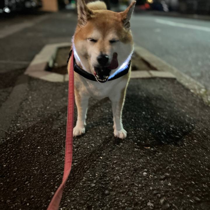 0663439d 91d9 4eeb bfcf 57de59193ae6 1699519673777