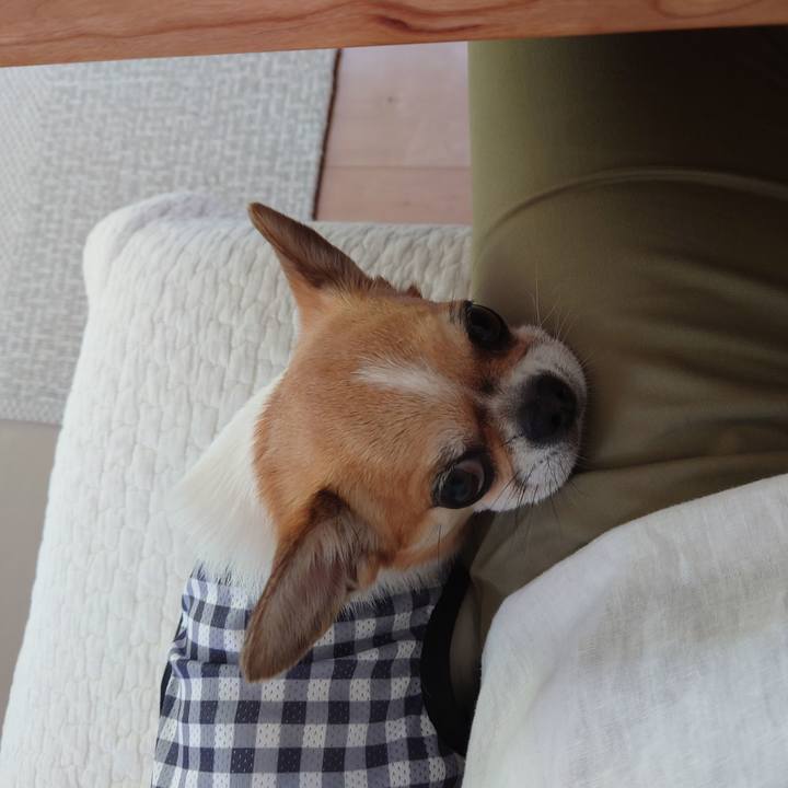 0663842f 08bd 4db4 99b1 db0c432aed0c 1691060359402