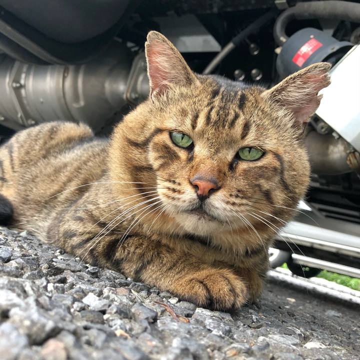 0663fb9a 8d1d 4b6f 94a0 ba710a603d5e 1536653262802