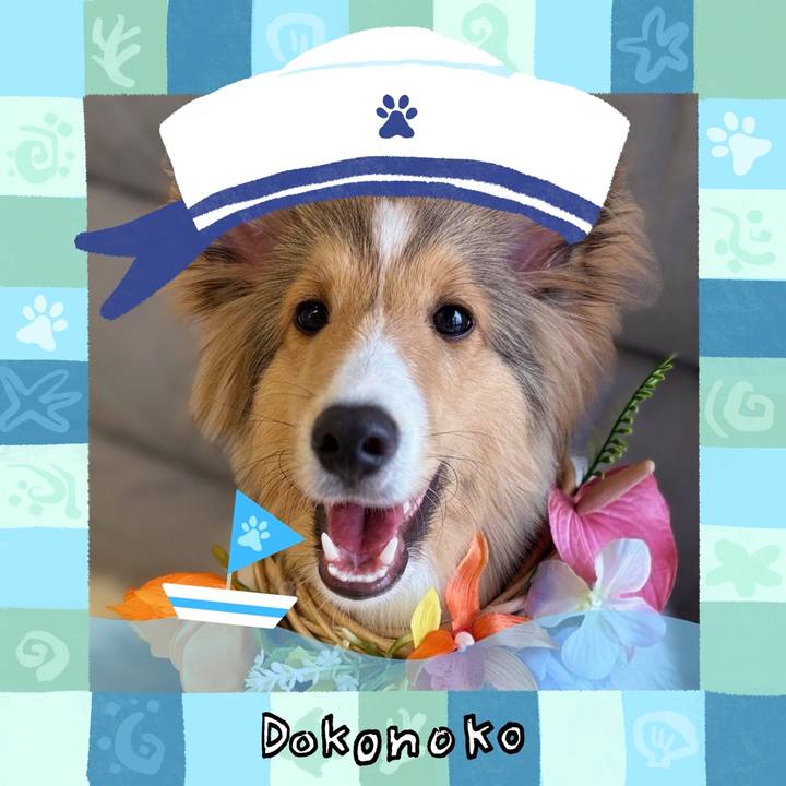 06644d17 7413 44f4 be1e be588fb35865 1786759238316