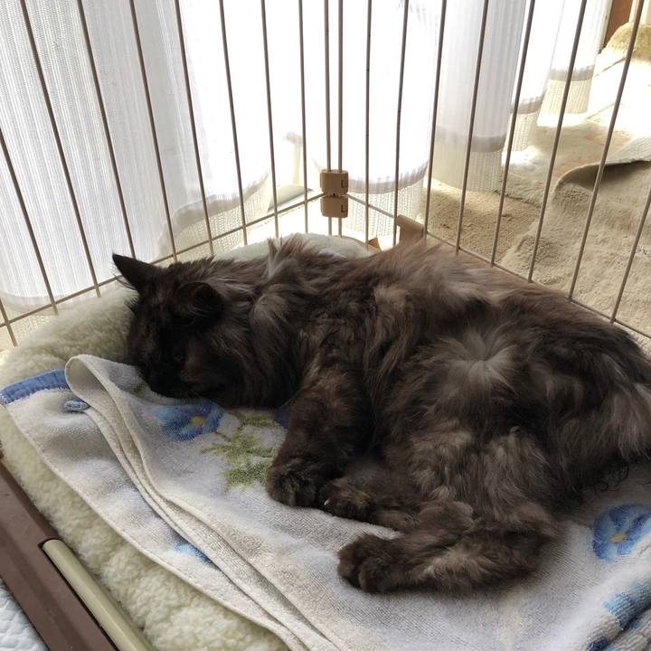 06645ff2 8931 4f6e 9b58 a19aab868120 1558477272230