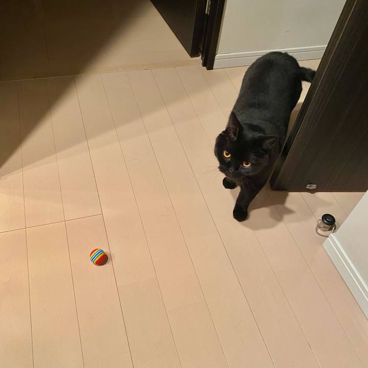 0664b8d7 3dd9 4e8d ae29 e5f39cc17936 1662200567732