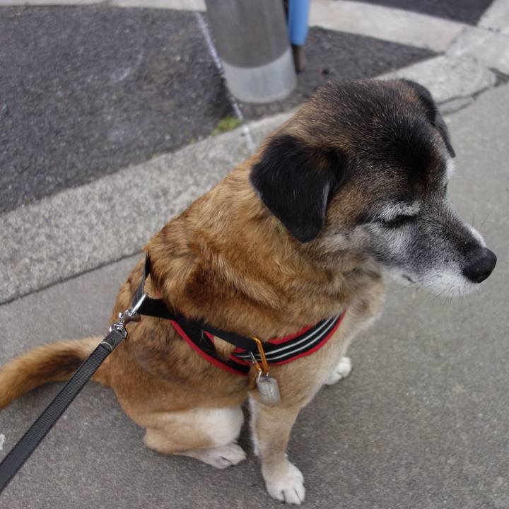 0664bc10 be04 4146 9025 e41030ac8293 1626568066109