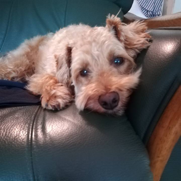 06652047 dbdb 4372 b7a8 eaf0b97c4c14 1565047783775