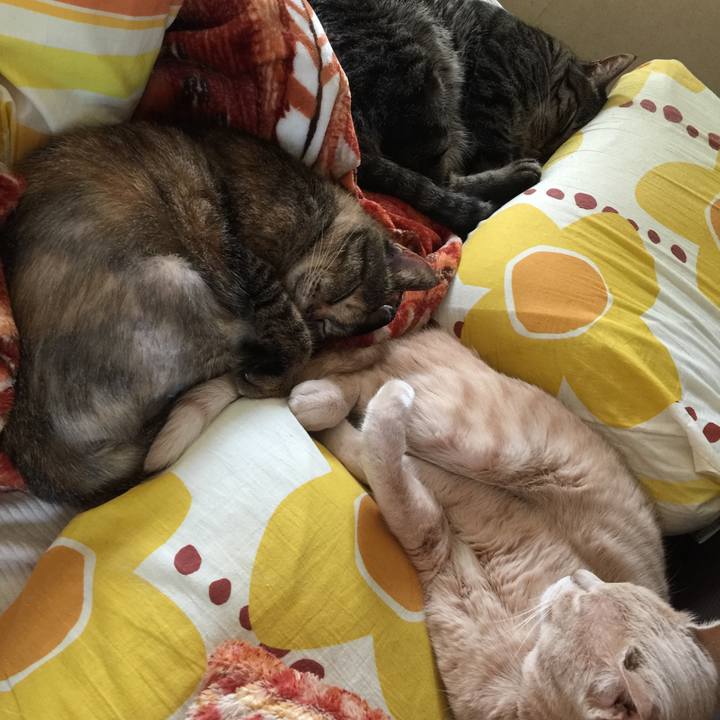 06655948 b37b 45b1 b629 02c8f5e47a65 1526953434111