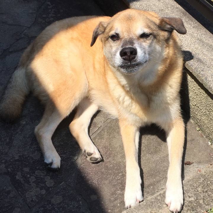 06656d4f 545d 4ba1 82ec a7b79dd5475f 1564920879749