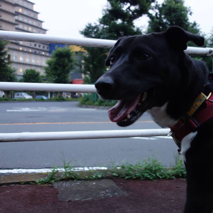 06659ddf 77f7 489d 815a f6cd212c1ae5 1594898012607