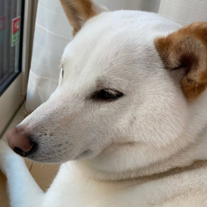 0665ce26 0b72 446f 9a9a 03b7cd481f8e 1588990835810