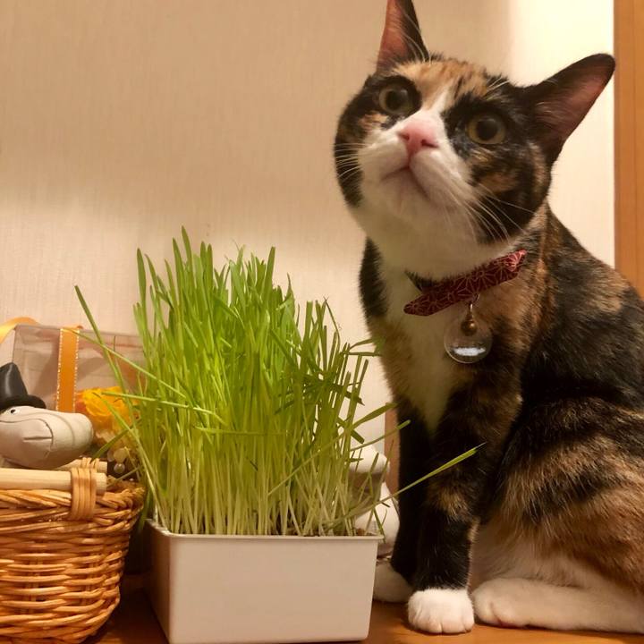 0665d6d6 f3ef 4148 9ff2 f7b33c4df90e 1558436250611