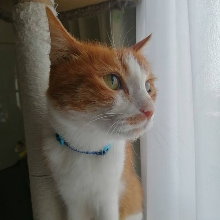 0665d971 e129 465e b861 7ecc03e5f232 1632364120360