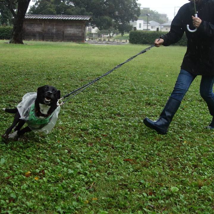 0665d97a 348c 461b 9c20 7640f91efdd5 1602287711005