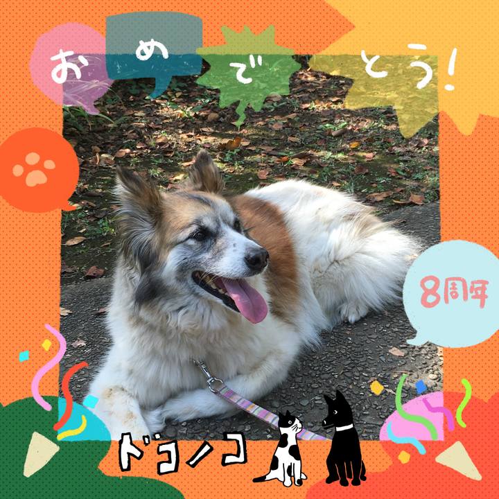 0666041e dc1a 4d24 8a56 83aba2fbd920 1717723566235