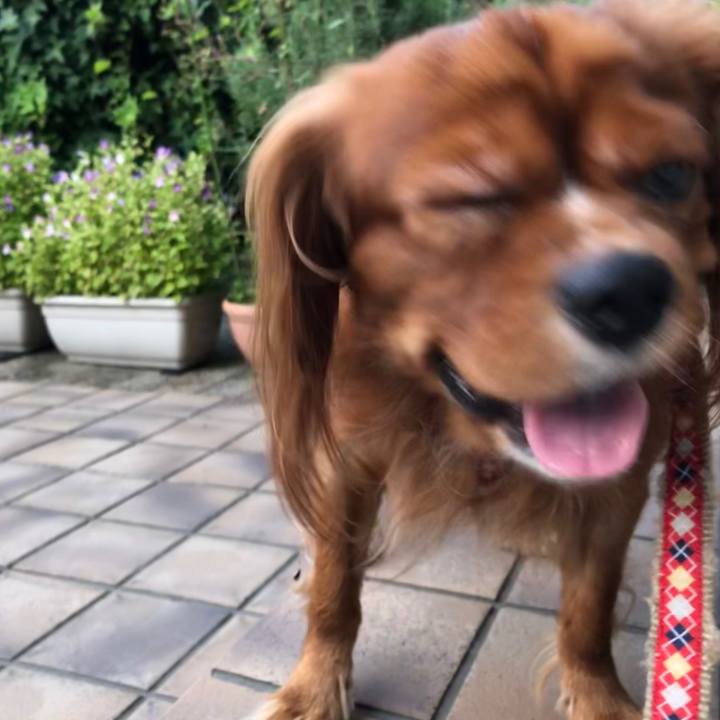 06660654 d1a8 473d b85c 1245a59f7a94 1568545237215