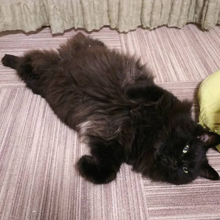 066610fd 27c6 4860 b754 4865be0a45eb 1563192417811