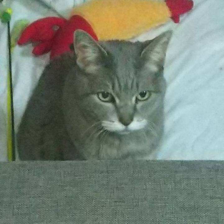 06662e1f cb0a 4942 a7e2 054d77c18ccb 1674250256749