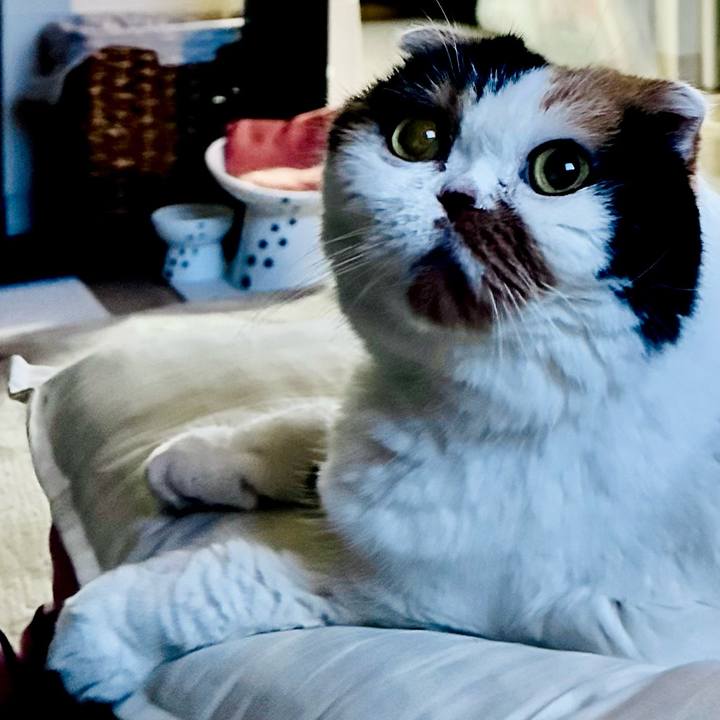 06663a14 8529 49a3 8091 ceccf67a2068 1735424697907