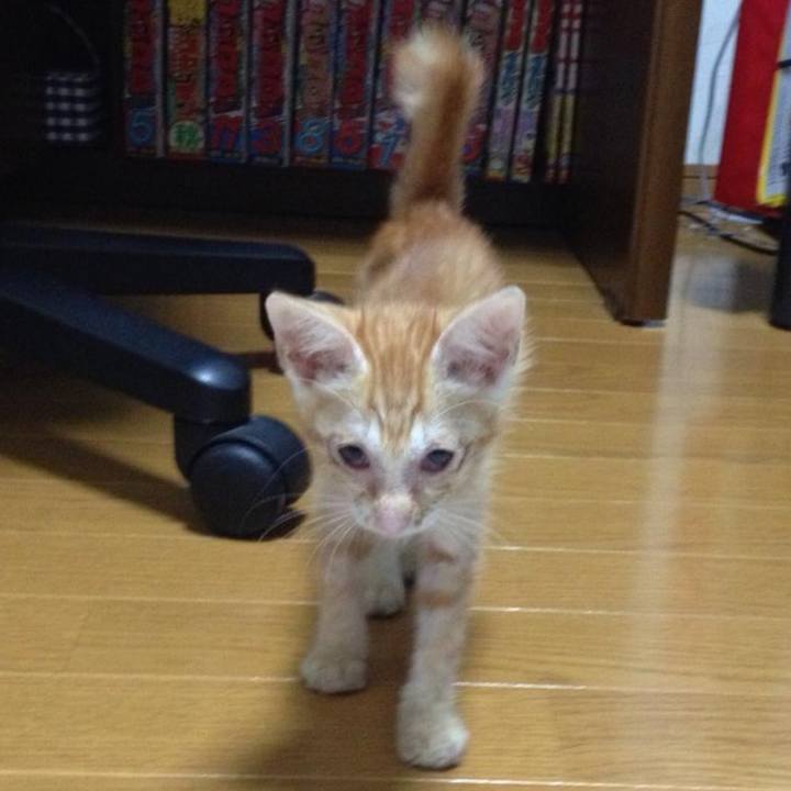 06665132 a073 471c aeed 60ff9c8853aa 1643455662461