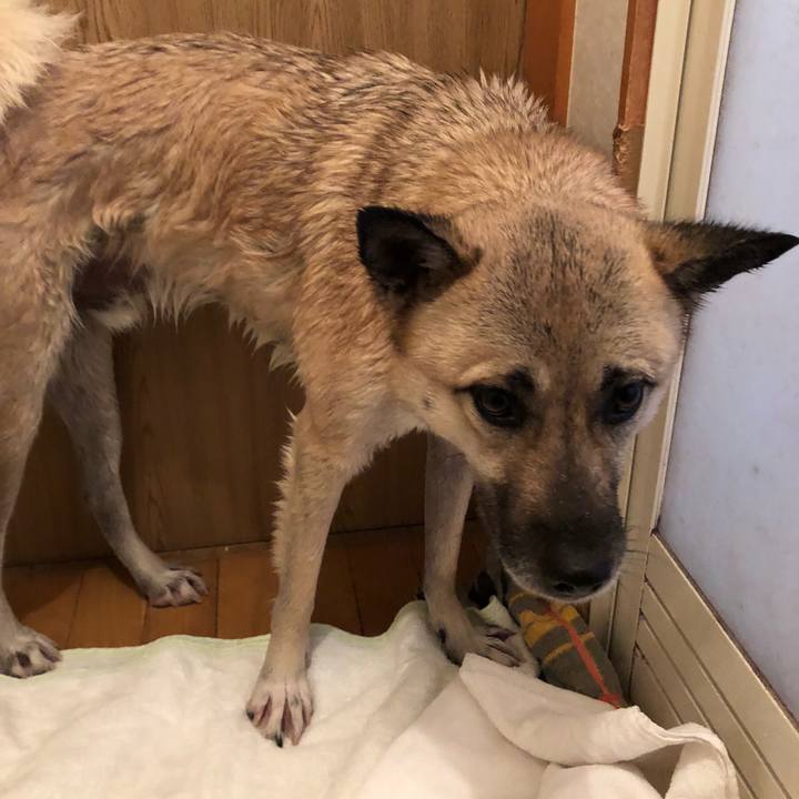 0666528e 12d1 4f2d 8110 a832bf68b73d 1546246767889