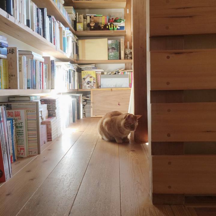 06665f37 0eda 431e 930a 8e9738711515 1579130355503