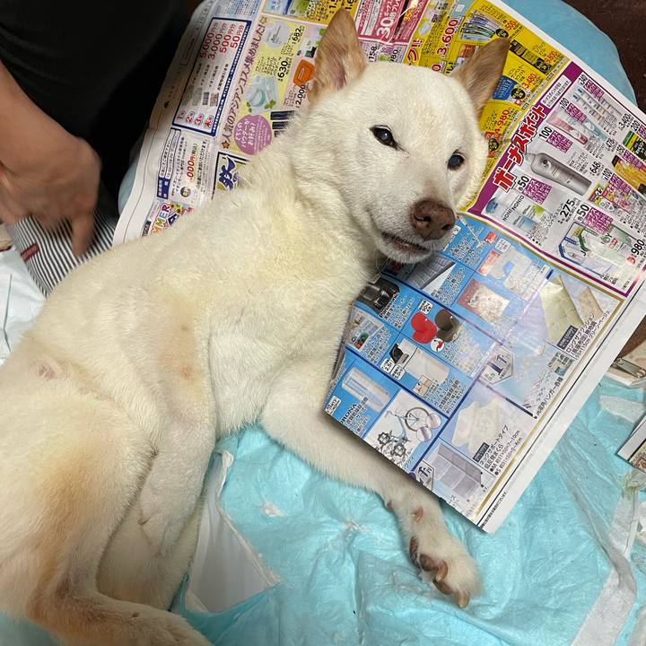 06665ffd 579a 4b13 b78b 6012a7adf6d1 1660657837710