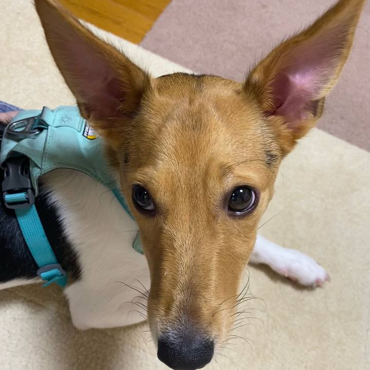 06669a68 6556 4ebc 8dec 3cee41f1fe03 1756038406823