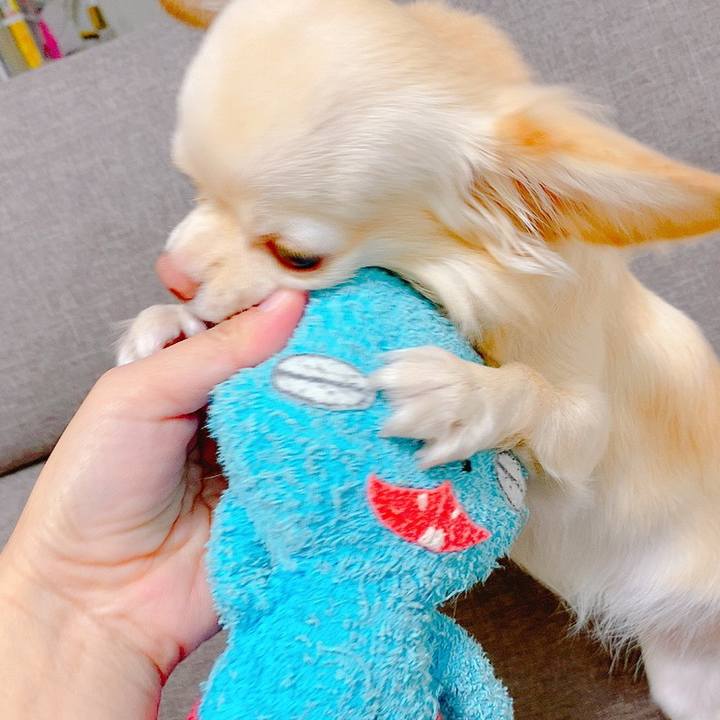 0666b9cb 1b2e 47a2 aaa0 b3d862a36fa4 1635671075011