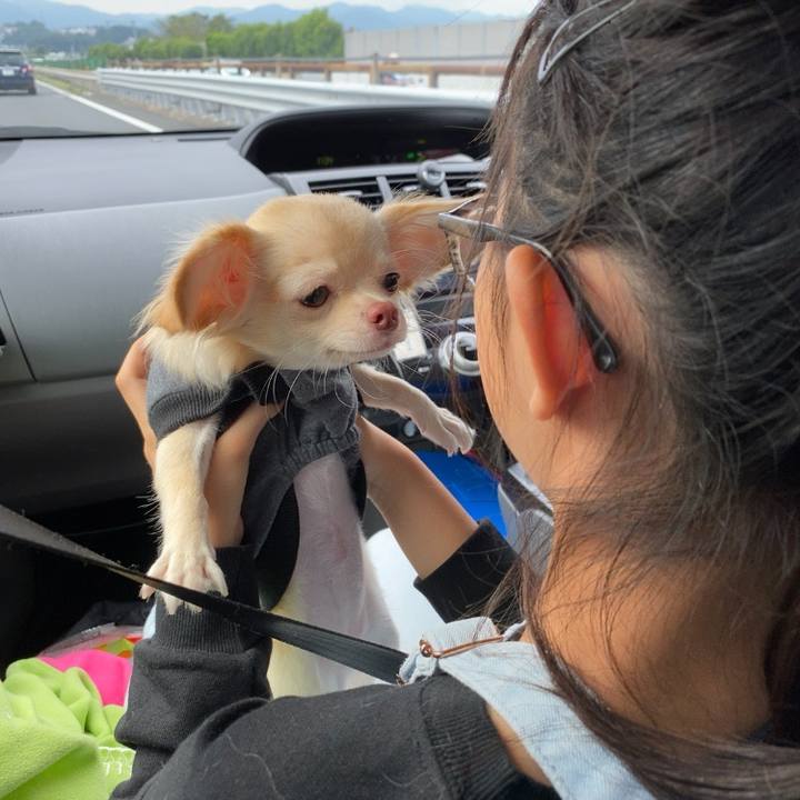 0666d1e8 5f87 423e 9152 d6ffeadcb15a 1600658722787