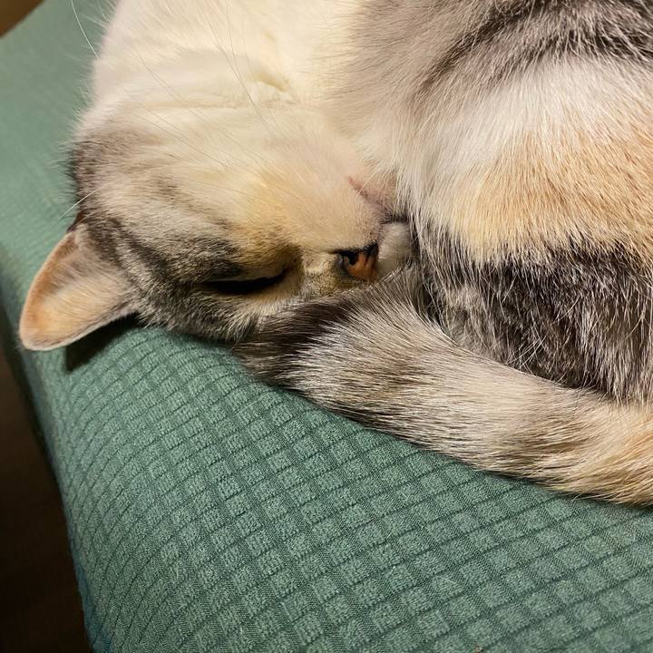 06672060 21ef 44ae a2e6 cd07661de3a7 1613561765544