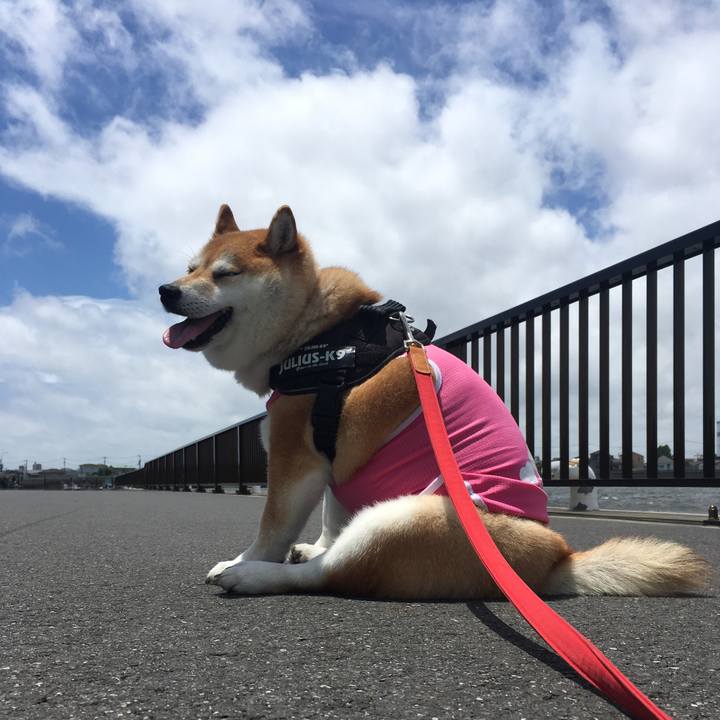 06678c29 f9fc 4247 b1ab 4bba50a4df73 1591848268239