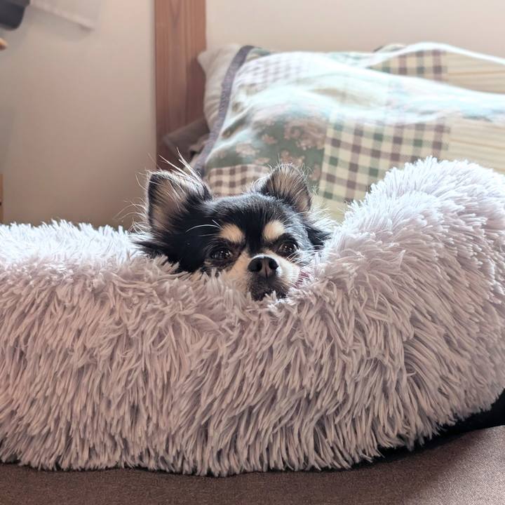 06679297 8a2b 4ad1 bbaa 0d26f6d2e705 1772946539999