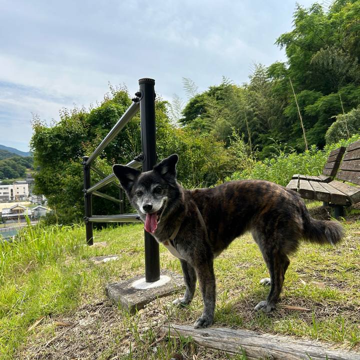 0667aa93 acd2 4ea3 9e43 d8c73662665a 1718840360463