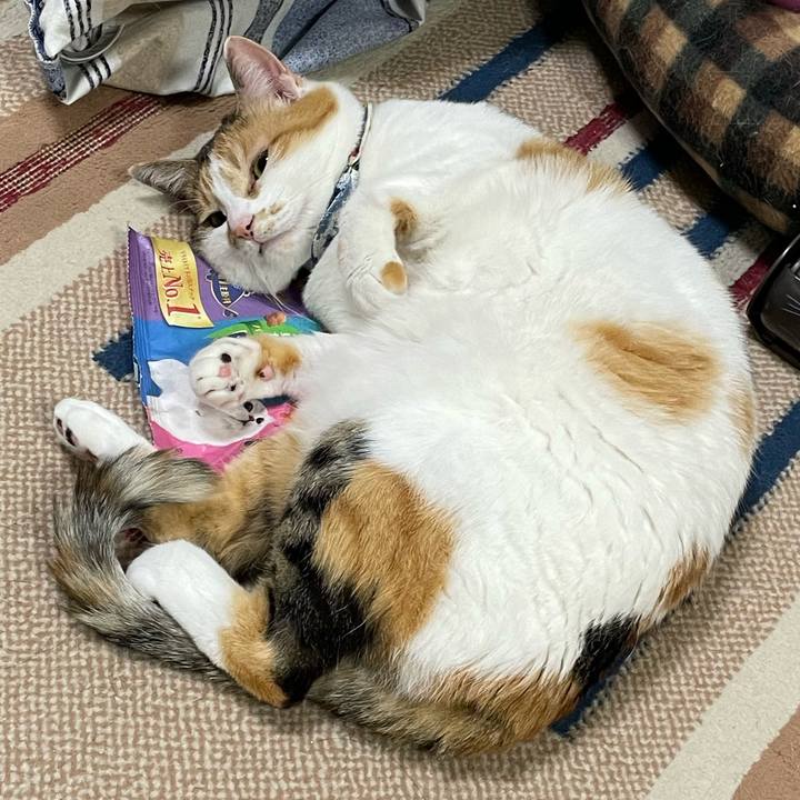 0667b599 7779 424c b3eb d71ac1a24c0f 1715696283850