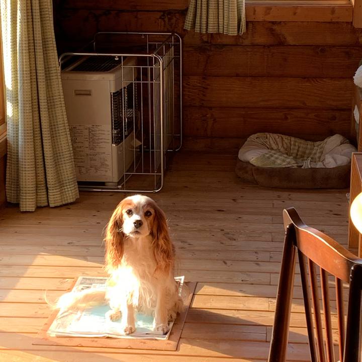 0667caf1 148b 48cd a6c4 43d1bcb531f8 1573599146641