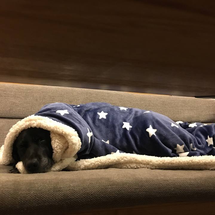 0667ccdf da67 4a1b ae53 14c80a933cf1 1515844970074